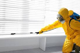 Emergency Pest Control in Clute, TX